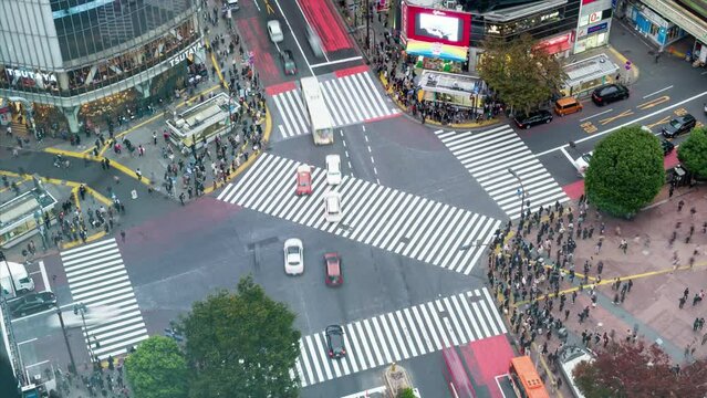 Above of traffic and thoroughfare with crowded people crossing and car driving in Shibuya intersection square at Tokyo, Japan