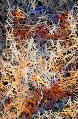 beautiful color of abstract background