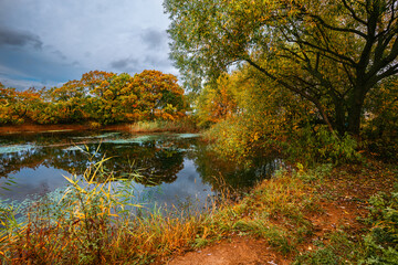 River in early autumn, colored leaves, beautiful landscape