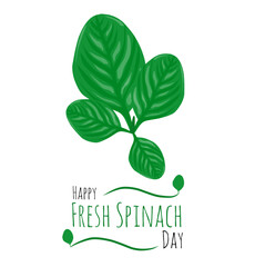 Happy National Spinach Day vector illustration