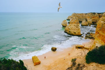 Photo sur Plexiglas Plage de Marinha, Algarve, Portugal beach and rocks on algarve portugal