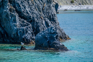 Sea Gulls on A Cliff in Aegean Sea