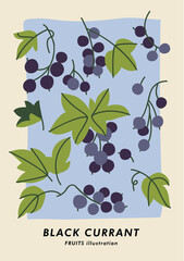 Vector illustration botanical poster with black currant berries. Art for for postcard, wall art, banner, background and cover.