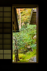 紅葉の瑠璃光院（京都府左京区）