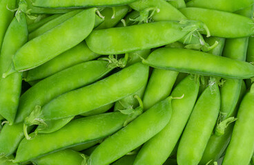 Fresh green pea pods texture. Close up, top view