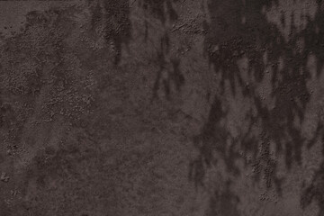 Abstract tree leaves shadows on brown concrete wall texture with roughness and irregularities. Abstract trendy colored nature concept background. Copy space for text overlay, poster mockup flat lay 