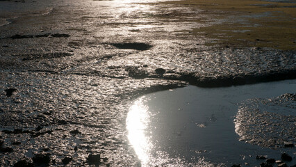 Meandros de ría en zona de barro de humedal en marea baja