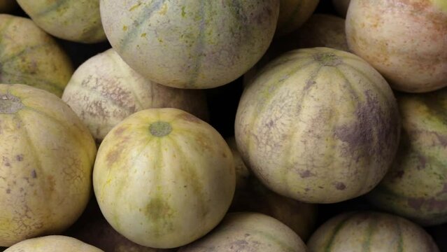 fresh organic muskmelon from farm close up from different angle