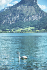  beautiful church in the mountains