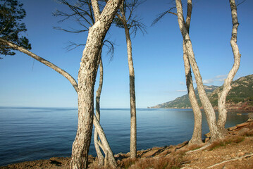 es Carregador,Banyalbufar.Sierra de Tramuntana.Mallorca.Islas Baleares. Espa&ntilde;a.