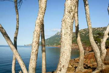 es Carregador,Banyalbufar.Sierra de Tramuntana.Mallorca.Islas Baleares. Espa&ntilde;a.