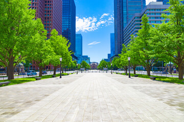 新緑の行幸通り（中央地点）からの東京駅とビル（東京都千代田区）