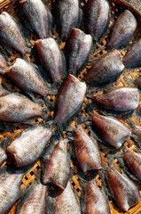 Sundried fishes in Thailand