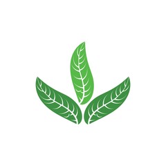 Logos of green tree leaf ecology