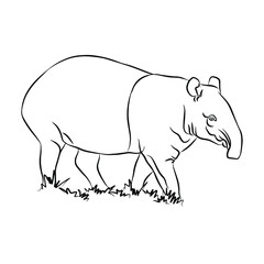 Beautiful malayun tapir paintings