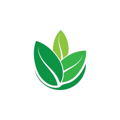 Logos of green tree leaf ecology