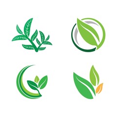 Logos of green tree leaf ecology