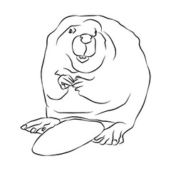 Beautiful american beaver painting.