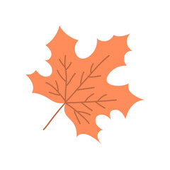 One orange maple leaf. Maple tree. Nature and plants. Autumn season. Flat vector illustration isolated on white background