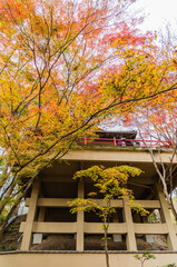 今熊野観音寺（京都府東山区）の紅葉