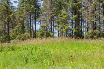 Kielder water beautiful landscape