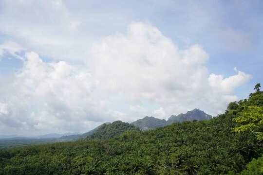 Timelapse of bright clouds in the jungle