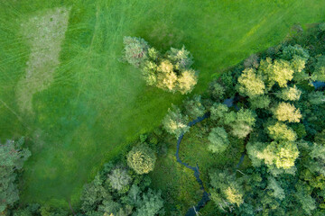 Aerial top down view of green mixed deciduous and coniferous forest.