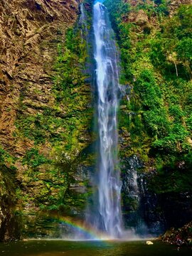 Vertical shot of Wli waterfall in the forest in Ghana