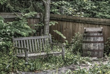 Old wooden bench and wine barrel in the corner of a fence in a garden
