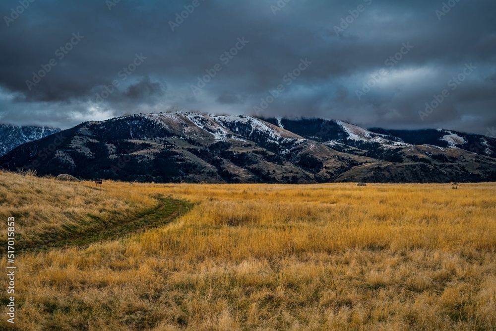 Aufkleber light colored grass fields with a snow covered mountian range and a cloudy sky