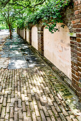 Charleston Wall And Sidewalk