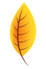 yellow autumn season leave