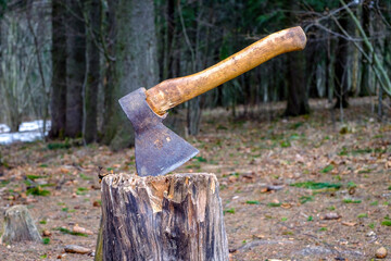 An old axe stuck in a tree stump in the forest