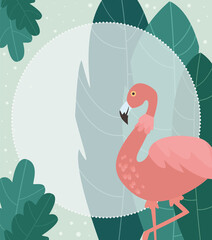 Pink flamingo and tropical plants leaves for summer design with round frame