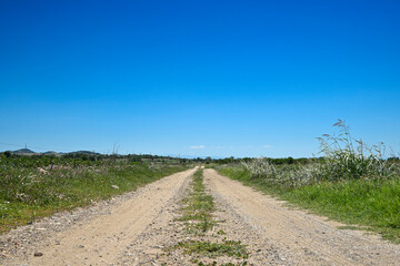 Fototapeta na wymiar rural road going through fields