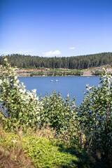 Beautiful view of boats in Lake Schluchsee surrounded by plants and trees in Black Forest