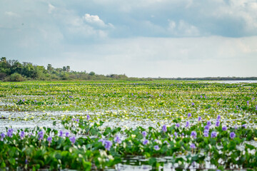 Beautiful landscape