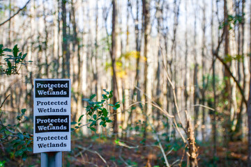 Protected wetlands in South Carolina