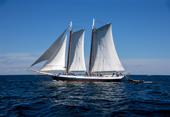 Fototapeta premium sailboat on the sea