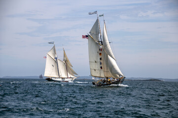 sailing in the sea