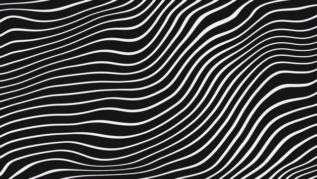Black and white waves lines motion background. Seamless loop. 4K footage