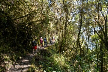 The green rainforests and cloud forest of the Urubamba Valley in Peru