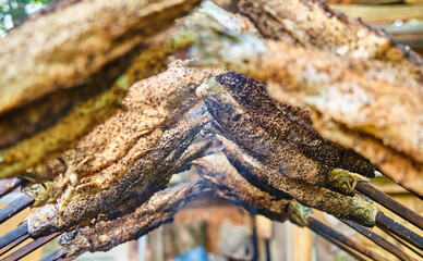 View from below of stockfish, which are trout skewered on a stick and grilled over an open fire.