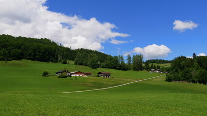 Almwiesen in der Nähe von Marktschellenberg - Ettenberg