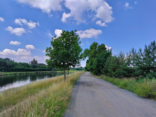 Beautiful landscape with a river, dusty road, and a cloudy sky. The road goes alongside with the river. There is a dominant tree in between. It's a summertime view on Czech countryside.