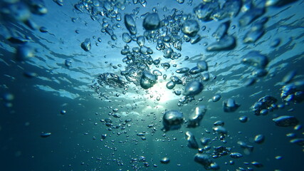 Underwater image, marine abstraction.