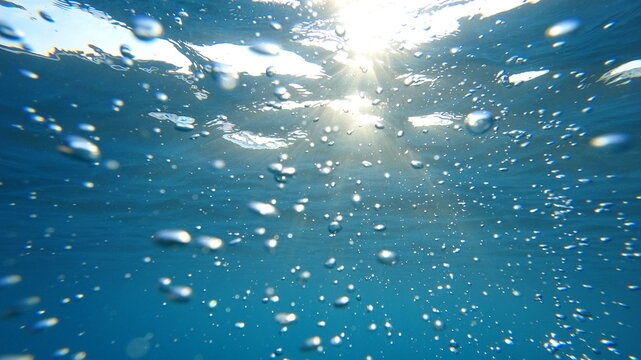 Underwater image, marine abstraction.
