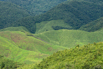 nature mountains and trees in the rainy season