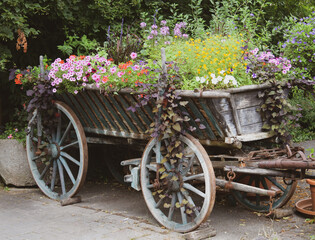 Kutsche voller Blumen