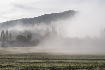 Fototapeta na wymiar Aranguren Valley. Autumn mists